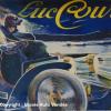 Affiche Luc Court